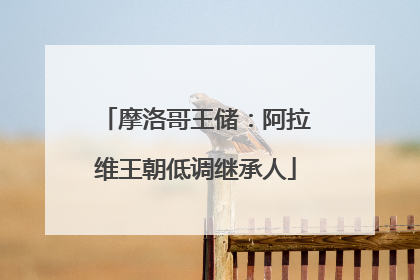 摩洛哥王储：阿拉维王朝低调继承人