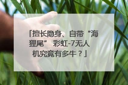 擅长隐身、自带“海狸尾” 彩虹-7无人机究竟有多牛？