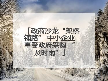 政商沙龙“架桥铺路” 中小企业享受政府采购 “及时雨”