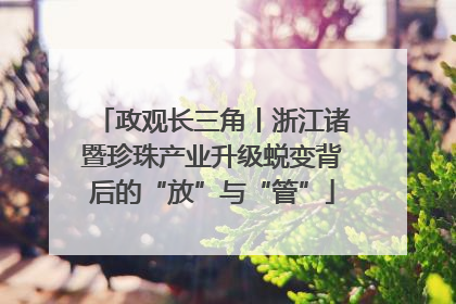 政观长三角丨浙江诸暨珍珠产业升级蜕变背后的“放”与“管”