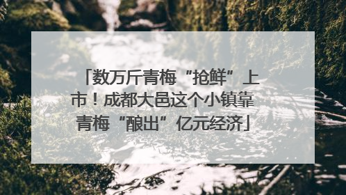 数万斤青梅“抢鲜”上市！成都大邑这个小镇靠青梅“酿出”亿元经济