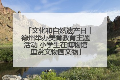 文化和自然遗产日丨德州举办美育教育主题活动 小学生在博物馆里赏文物画文物