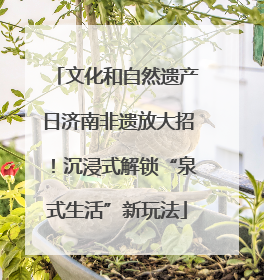 文化和自然遗产日济南非遗放大招！沉浸式解锁“泉式生活”新玩法