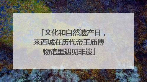 文化和自然遗产日，来西城在历代帝王庙博物馆里遇见非遗