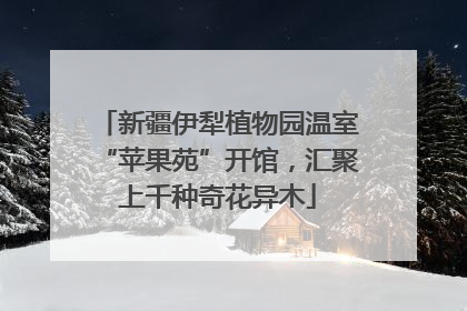 新疆伊犁植物园温室“苹果苑”开馆，汇聚上千种奇花异木