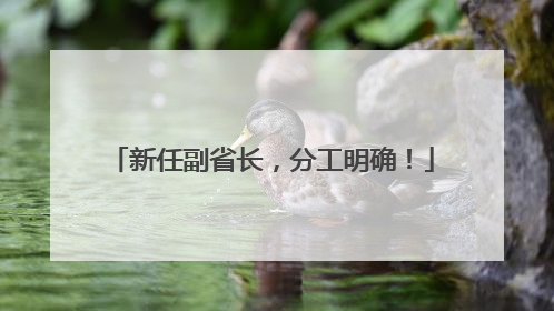 新任副省长，分工明确！