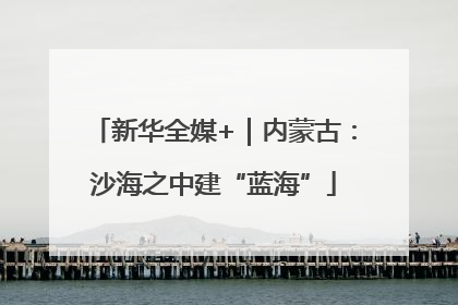 新华全媒+｜内蒙古：沙海之中建“蓝海”