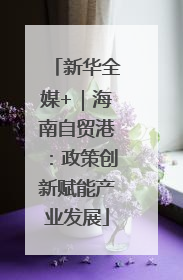 新华全媒+｜海南自贸港：政策创新赋能产业发展
