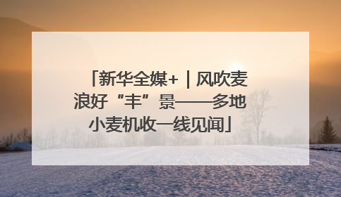 新华全媒+｜风吹麦浪好“丰”景——多地小麦机收一线见闻