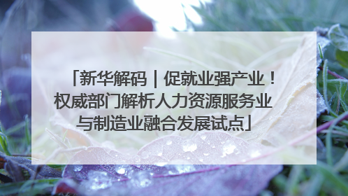 新华解码｜促就业强产业！权威部门解析人力资源服务业与制造业融合发展试点