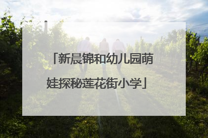 新晨锦和幼儿园萌娃探秘莲花街小学