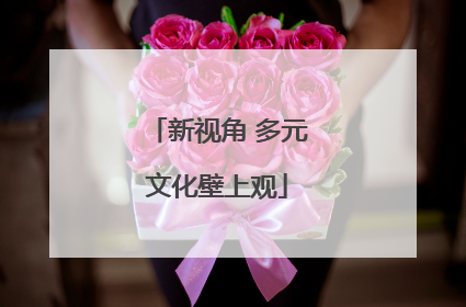 新视角 多元文化壁上观