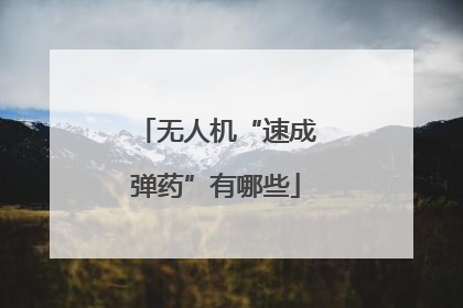无人机“速成弹药”有哪些