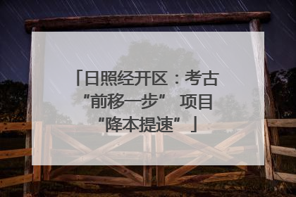 日照经开区：考古“前移一步” 项目“降本提速”