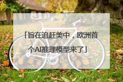 旨在追赶美中，欧洲首个AI推理模型来了