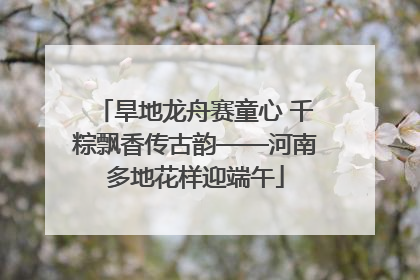 旱地龙舟赛童心 千粽飘香传古韵——河南多地花样迎端午
