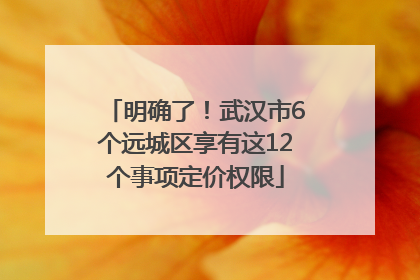 明确了！武汉市6个远城区享有这12个事项定价权限