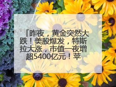 昨夜，黄金突然大跌！美股爆发，特斯拉大涨，市值一夜增超5400亿元！苹果传来大消息