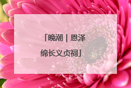 晚潮｜恩泽绵长义贞祠