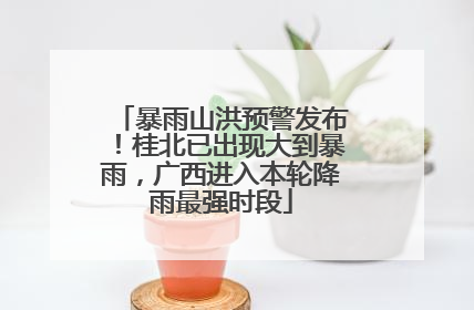 暴雨山洪预警发布！桂北已出现大到暴雨，广西进入本轮降雨最强时段