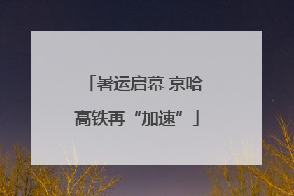 暑运启幕 京哈高铁再“加速”