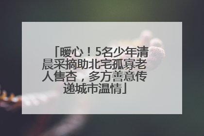 暖心！5名少年清晨采摘助北宅孤寡老人售杏，多方善意传递城市温情