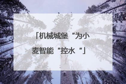 机械城堡“为小麦智能“控水“