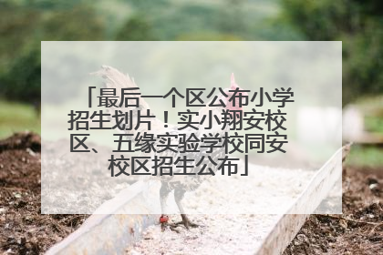 最后一个区公布小学招生划片！实小翔安校区、五缘实验学校同安校区招生公布