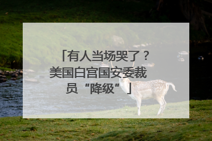 有人当场哭了？美国白宫国安委裁员“降级”