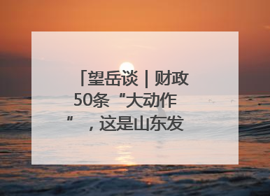 望岳谈｜财政50条“大动作”，这是山东发展民企的决心