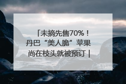 未摘先售70%！丹巴“美人脆”苹果尚在枝头就被预订｜长征路上看四川