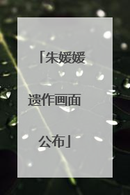 朱媛媛遗作画面公布