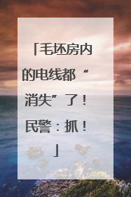 毛坯房内的电线都“消失”了！民警：抓！