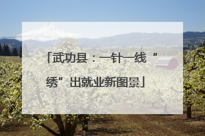 武功县：一针一线“绣”出就业新图景