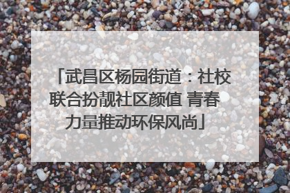 武昌区杨园街道：社校联合扮靓社区颜值 青春力量推动环保风尚