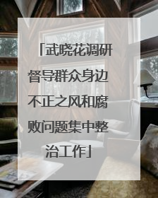 武晓花调研督导群众身边不正之风和腐败问题集中整治工作