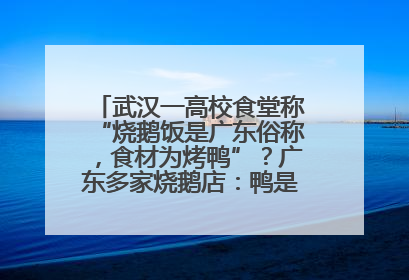 武汉一高校食堂称“烧鹅饭是广东俗称，食材为烤鸭”？广东多家烧鹅店：鸭是鸭鹅是鹅