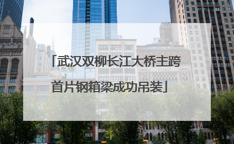 武汉双柳长江大桥主跨首片钢箱梁成功吊装