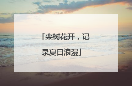 栾树花开，记录夏日浪漫
