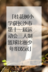 桂花树小学获长沙市第十一届运动会三人制篮球比赛少年组双冠