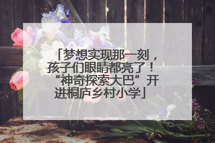 梦想实现那一刻，孩子们眼睛都亮了！“神奇探索大巴”开进桐庐乡村小学