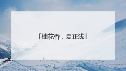 楝花香，夏正浅