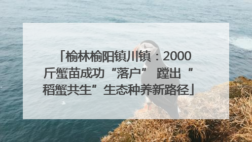 榆林榆阳镇川镇：2000斤蟹苗成功“落户” 蹚出“稻蟹共生”生态种养新路径