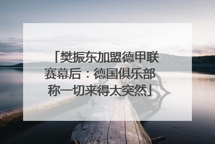 樊振东加盟德甲联赛幕后：德国俱乐部称一切来得太突然