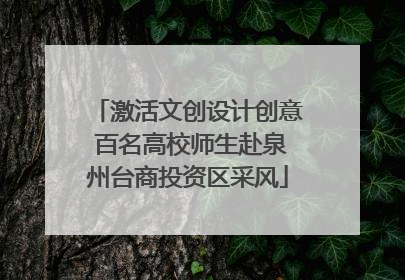 激活文创设计创意 百名高校师生赴泉州台商投资区采风