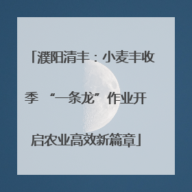 濮阳清丰：小麦丰收季 “一条龙”作业开启农业高效新篇章