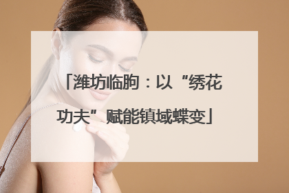 潍坊临朐：以“绣花功夫”赋能镇域蝶变