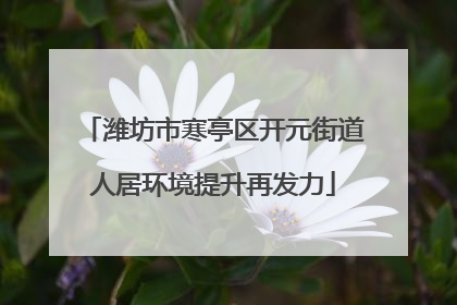 潍坊市寒亭区开元街道人居环境提升再发力