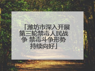 潍坊市深入开展第三轮禁毒人民战争 禁毒斗争形势持续向好
