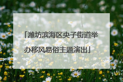 潍坊滨海区央子街道举办移风易俗主题演出